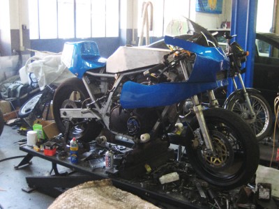 suzuki 007.jpg